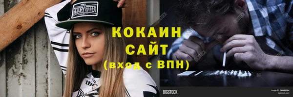 соль ск Абаза