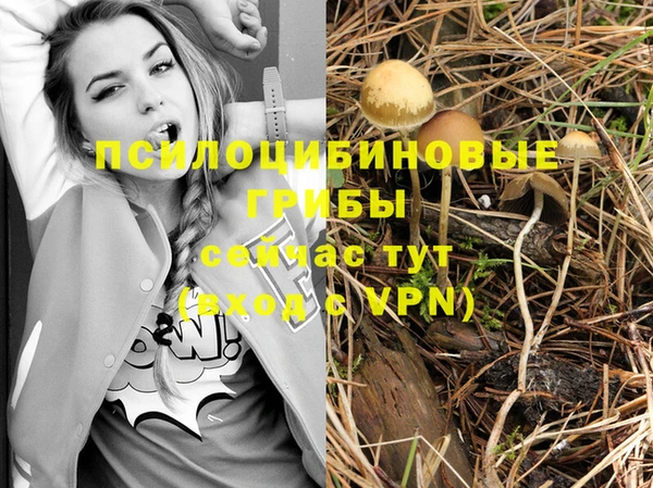 прущие грибы Алексеевка