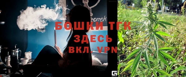 прущие грибы Алексеевка